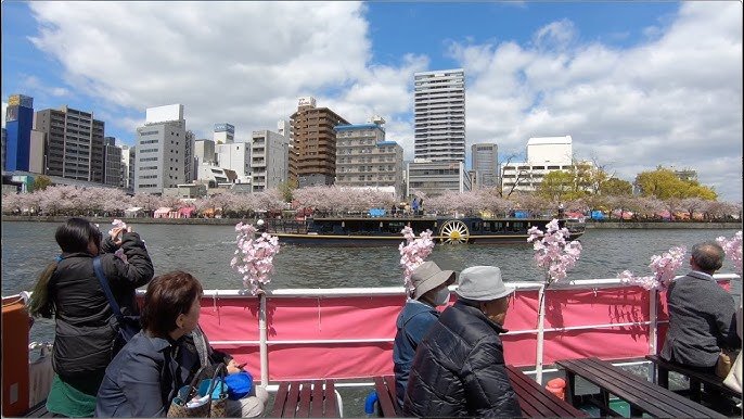 🏞️ 오카와 강 (大川) 이미지 7
